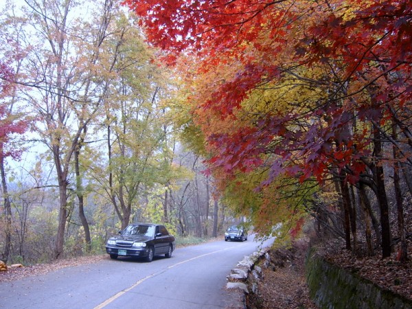 976cb57e5a1fa065489bd8445d5317aa_1468832