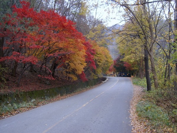 976cb57e5a1fa065489bd8445d5317aa_1468832